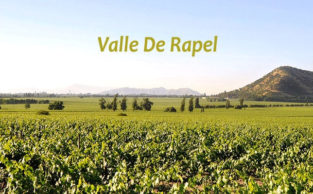 Thung lũng nho Valle De Rapel