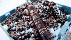Ice Wine Rượu vang tuyết