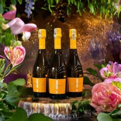 Rượu vang Tini Moscato Rubicone