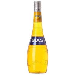 Bols Mango 700 ml