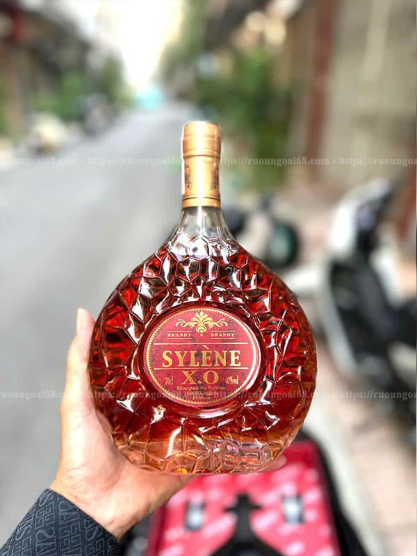 Rượu Sylene XO Brandy ruou sylene xo brandy 02