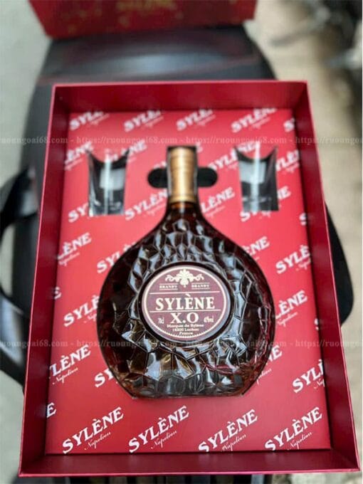 Rượu Sylene XO Brandy