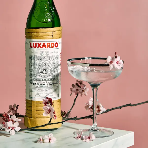 Rượu Luxardo Maraschino Originale Rượu Luxardo Maraschino Originale
