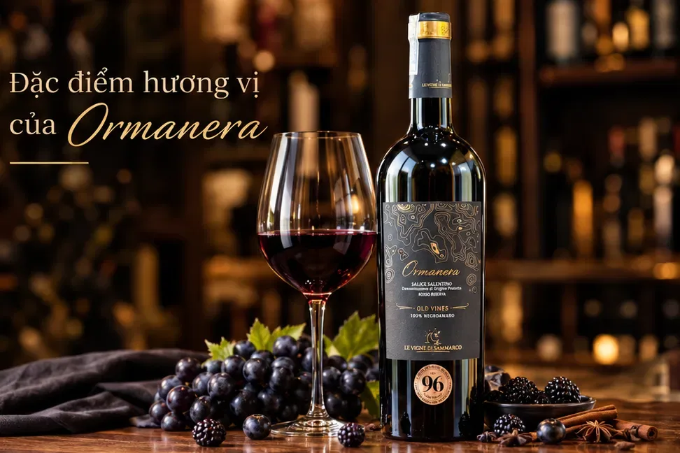 Rượu Vang Ý Ormanera Salice Salentino Riserva 15% dac diem huong vi ruou vang y ormanera salice salentino rise 3